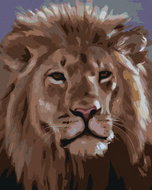 Zuty - Painting by Numbers - Lion Head (D. Rusty Rust), 40X50 Cm, Canvas - Painting by Numbers