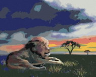 Zuty - Painting By Numbers - Lion On The Grass At Sunset (D. Rusty Rust), 80X100 Cm, Canvas - Painting by Numbers