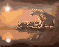 Zuty - Painting By Numbers - Lioness By Water (D. Rusty Rust), 40X50 Cm, Canvas+Frame - Painting by Numbers