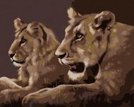 Zuty - Painting by Numbers - Young Lions (D. Rusty Rust), 80X100 Cm, Canvas+Frame - Painting by Numbers