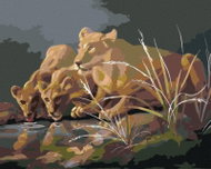 Zuty - Painting By Numbers - Lioness At Napajedla In The Dark (D. Rusty Rust), 40X50 Cm, Canvas - Painting by Numbers