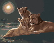 Zuty - Painting by Numbers - Lioness And Lion (D. Rusty Rust), 40X50 Cm, Canvas+Frame - Painting by Numbers