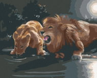 Zuty - Painting By Numbers - Lion And Lioness At Napajedla (D. Rusty Rust), 40X50 Cm, Canvas - Painting by Numbers