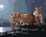 Zuty - Painting By Numbers - Lioness At Napajedla (D. Rusty Rust), 40X50 Cm, Canvas - Painting by Numbers