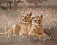 Zuty - Painting by Numbers - Resting Lion (D. Rusty Rust), 40X50 Cm, Canvas+Frame - Painting by Numbers