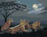 Zuty - Painting by Numbers - Lioness After Dusk (D. Rusty Rust), 40X50 Cm, Canvas - Painting by Numbers