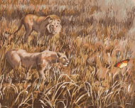 Zuty - Painting By Numbers - Lion On The Hunt (D. Rusty Rust), 40X50 Cm, Canvas - Painting by Numbers