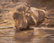 Zuty - Painting By Numbers - Young Lion At Napajedla (D. Rusty Rust), 40X50 Cm, Canvas+Frame - Painting by Numbers