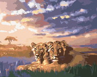 Zuty - Painting by Numbers - Two Lions at Sunrise (D. Rusty Rust), 80X100 Cm, Canvas+Frame - Painting by Numbers