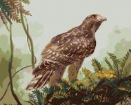 Zuty - Painting By Numbers - Hawk On A Branch (D. Rusty Rust), 40X50 Cm, Canvas+Frame - Painting by Numbers