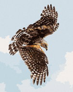 Zuty - Painting by Numbers - Hawk (D. Rusty Rust), 40X50 Cm, Canvas+Frame - Painting by Numbers