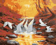 Zuty - Painting by Numbers - Herons (D. Rusty Rust), 40X50 Cm, Canvas+Frame - Painting by Numbers