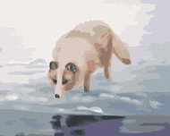Zuty - Painting by Numbers - Polar Fox by the Water (D. Rusty Rust), 40X50 Cm, Canvas+Frame - Painting by Numbers