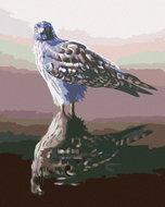 Zuty - Painting by Numbers - Hawk in Reflection (D. Rusty Rust), 40X50 Cm, Canvas+Frame - Painting by Numbers