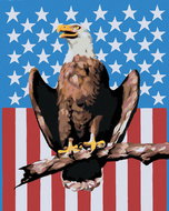 Zuty - Painting By Numbers - Eagle On American Background (D. Rusty Rust), 80X100 Cm, Canvas+Frame - Painting by Numbers