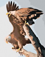 Zuty - Painting by Numbers - Eagle Couple (D. Rusty Rust), 40X50 Cm, Canvas - Painting by Numbers