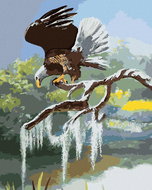 Zuty - Painting By Numbers - Eagle On Branch By Water (D. Rusty Rust), 80X100 Cm, Canvas - Painting by Numbers
