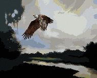 Zuty - Painting by Numbers - Eagle at Dusk (D. Rusty Rust), 40X50 Cm, Canvas+Frame - Painting by Numbers