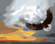Zuty - Painting by Numbers - Eagle in a Storm (D. Rusty Rust), 40X50 Cm, Canvas+Frame - Painting by Numbers