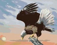 Zuty - Painting by Numbers - Eagle at Dusk (D. Rusty Rust), 40X50 Cm, Canvas+Frame - Painting by Numbers