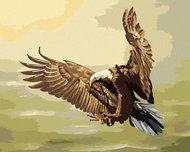 Zuty - Painting by Numbers - Hunting Eagle (D. Rusty Rust), 40X50 Cm, Canvas - Painting by Numbers