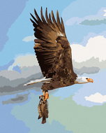 Zuty - Painting by Numbers - Eagle Hunting Fish (D. Rusty Rust), 40X50 Cm, Canvas+Frame - Painting by Numbers