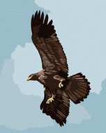 Zuty - Painting by Numbers - Eagle (D. Rusty Rust), 80X100 Cm, Canvas+Frame - Painting by Numbers