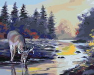 Zuty - Painting by Numbers - Deer Drinking From a Stream (D. Rusty Rust), 40X50 Cm, Canvas - Painting by Numbers
