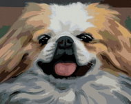 Zuty - Painting by Numbers - Dog - Portrait (D. Rusty Rust), 40X50 Cm, Canvas - Painting by Numbers