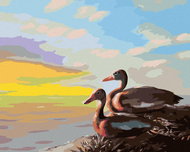 Zuty - Painting by Numbers - Ducks (D. Rusty Rust), 40X50 Cm, Canvas+Frame - Painting by Numbers