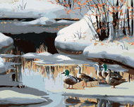 Zuty - Painting by Numbers - Duck on Frozen River (D. Rusty Rust), 40X50 Cm, Canvas+Frame - Painting by Numbers