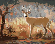 Zuty - Painting by Numbers - Young Deer and Autumn Forest (D. Rusty Rust), 40X50 Cm, Canvas - Painting by Numbers