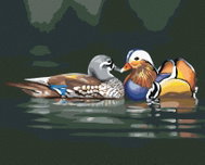 Zuty - Painting by Numbers - Ducks in Love on Water (D. Rusty Rust), 40X50 Cm, Canvas - Painting by Numbers