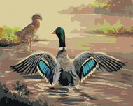 Zuty - Painting By Numbers - Duck With Spread Wings (D. Rusty Rust), 40X50 Cm, Canvas+Frame - Painting by Numbers
