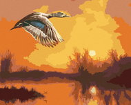 Zuty - Painting by Numbers - Flying Duck and Sunset (D. Rusty Rust), 40X50 Cm, Canvas+Frame - Painting by Numbers