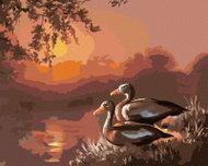 Zuty - Painting by Numbers - Ducks at the Lake and Sunset (D. Rusty Rust), 40X50 Cm, Canvas+Frame - Painting by Numbers