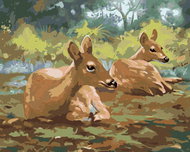 Zuty - Painting by Numbers - Lying Deer (D. Rusty Rust), 40X50 Cm, Canvas - Painting by Numbers