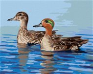 Zuty - Painting by Numbers - DUCKS ON WATER (D. RUSTY RUST), 80x100 cm, off canvas on frame - Painting by Numbers