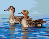 Zuty - Painting by Numbers - Ducks on Water (D. Rusty Rust), 40X50 Cm, Canvas - Painting by Numbers