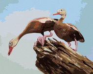 Zuty - Painting by Numbers - Ducks on a Log (D. Rusty Rust), 80X100 Cm, Canvas+Frame - Painting by Numbers