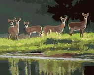 Zuty - Painting by Numbers - Deer by the Lake (D. Rusty Rust), 40X50 Cm, Canvas - Painting by Numbers