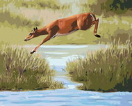 Zuty - Painting by Numbers - Deer Jumping Over Water (D. Rusty Rust), 40X50 Cm, Canvas - Painting by Numbers