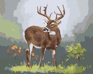 Zuty - Painting by Numbers - Deer (D. Rusty Rust), 40X50 Cm, Canvas+Frame - Painting by Numbers