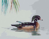Zuty - Painting by Numbers - Duck on Water (D. Rusty Rust), 40X50 Cm, Canvas - Painting by Numbers