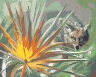 Zuty - Painting by Numbers - Coyote A Leaf (D. Rusty Rust), 40X50 Cm, Canvas+Frame - Painting by Numbers