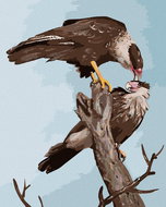 Zuty - Painting by Numbers - Vulture on a Tree (D. Rusty Rust), 40X50 Cm, Canvas - Painting by Numbers