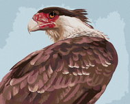 Zuty - Painting by Numbers - View of a Vulture (D. Rusty Rust), 40X50 Cm, Canvas - Painting by Numbers