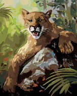 Zuty - Painting by Numbers - Puma Lying on Stone (D. Rusty Rust), 40X50 Cm, Canvas+Frame - Painting by Numbers