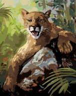 Zuty - Painting by Numbers - Puma Lying on Stone (D. Rusty Rust), 40X50 Cm, Canvas - Painting by Numbers
