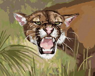 Zuty - Painting by Numbers - Puma Showing Teeth (D. Rusty Rust), 40X50 Cm, Canvas - Painting by Numbers